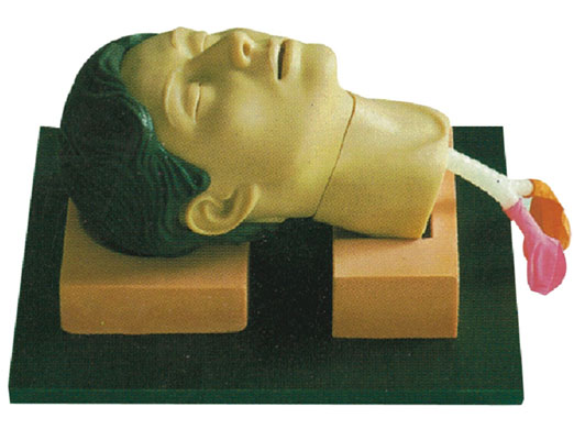 環(huán)甲膜穿刺和切開(kāi)訓(xùn)練仿真模型