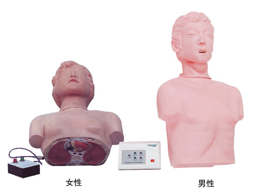 半身心肺復(fù)蘇訓(xùn)練模擬人(簡易型)