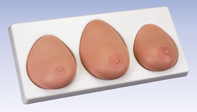 高級(jí)乳房檢查模型(一套三部件)