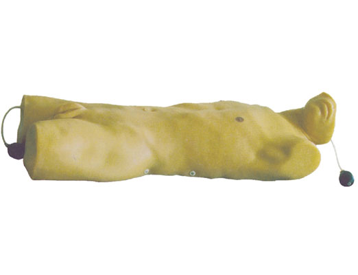 胸腔閉式引流術(shù)訓(xùn)練模型