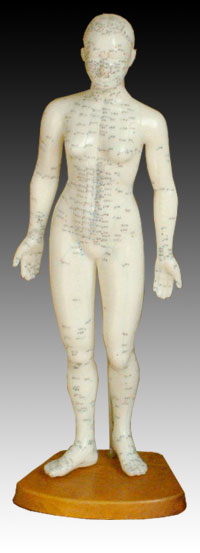 人體針灸模型48CM