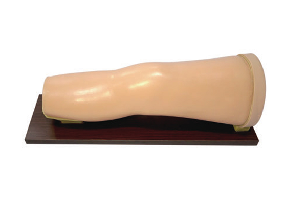 膝關(guān)節(jié)腔內(nèi)注射模型